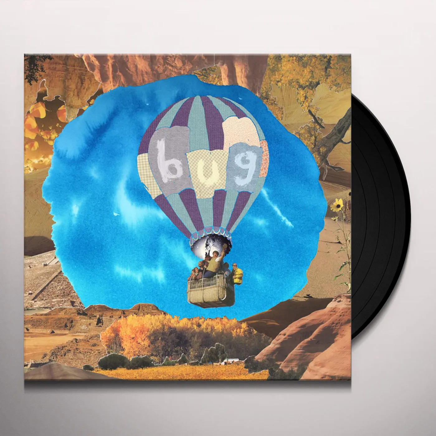 Pictures of Vernon bug Vinyl Record