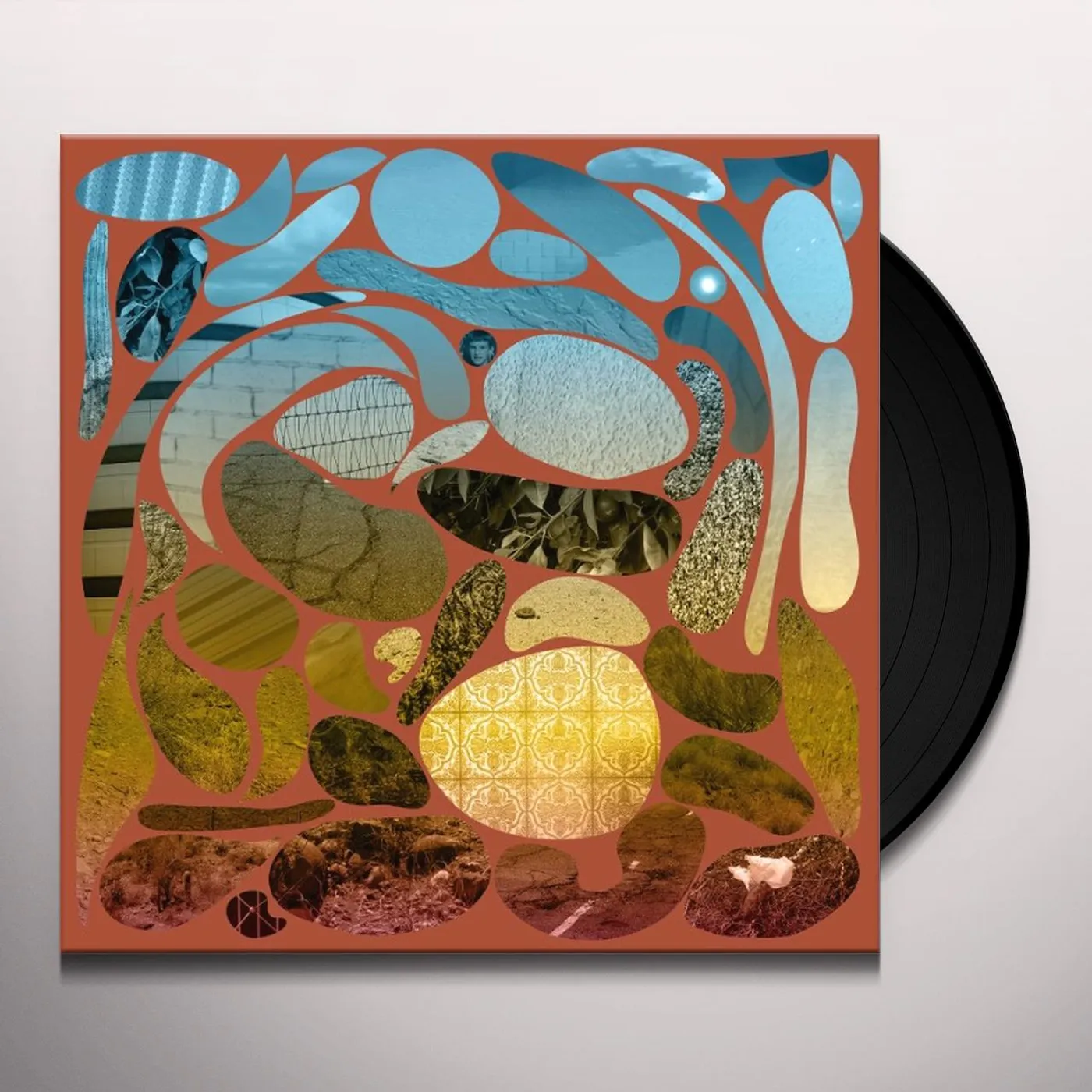 Pedro The Lion Phoenix