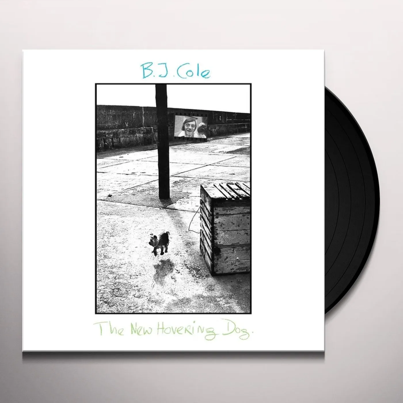 BJ Cole New Hovering Dog Vinyl Record
