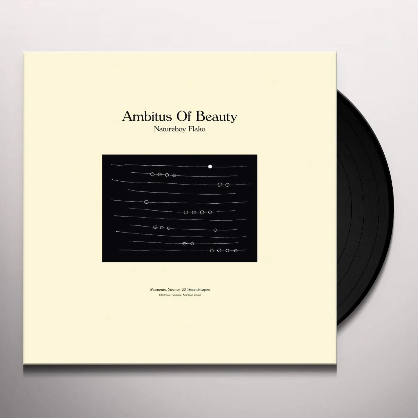Natureboy Flako Ambitus Of Beauty Vinyl Record