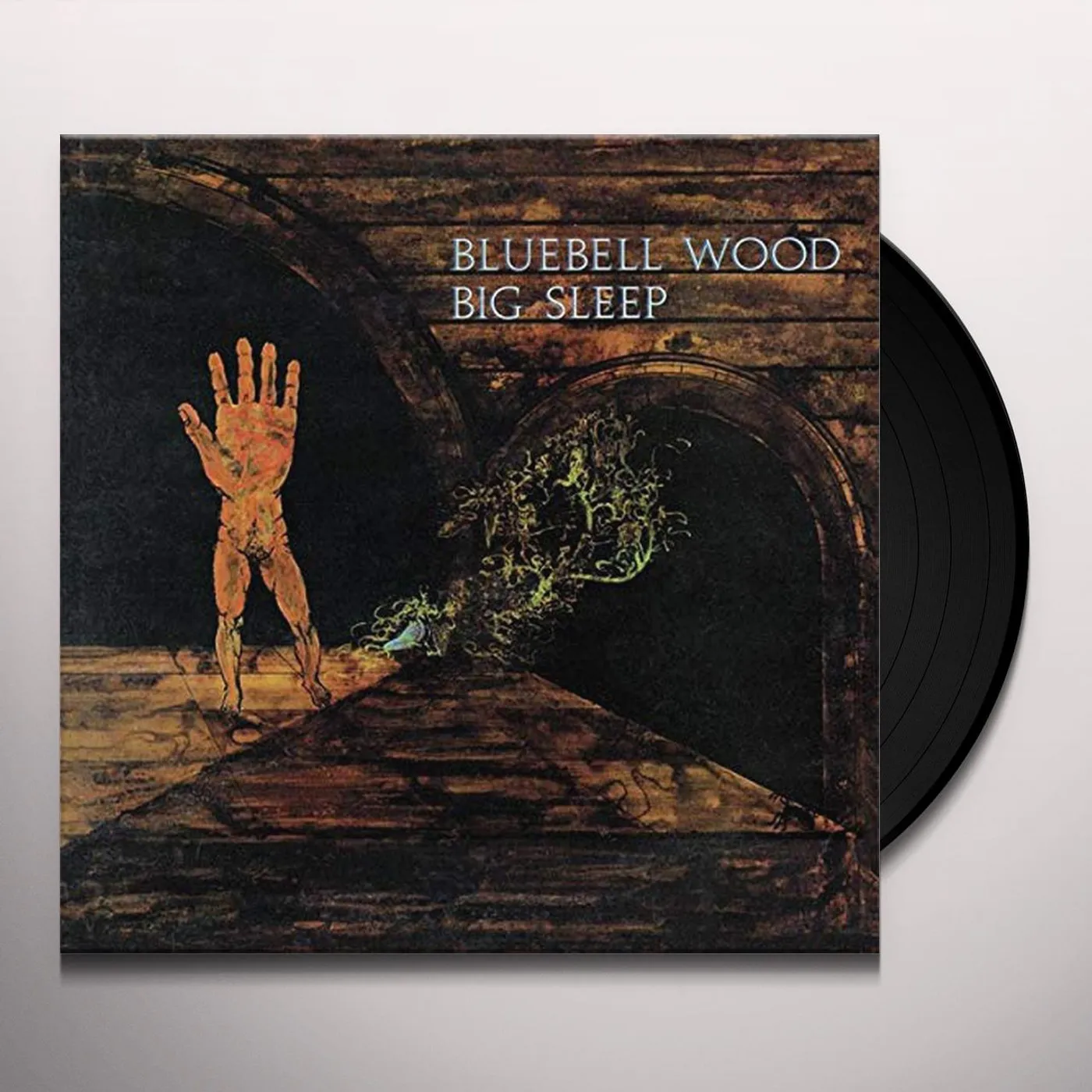 The Big Sleep Bluebell wood Vinyl Record