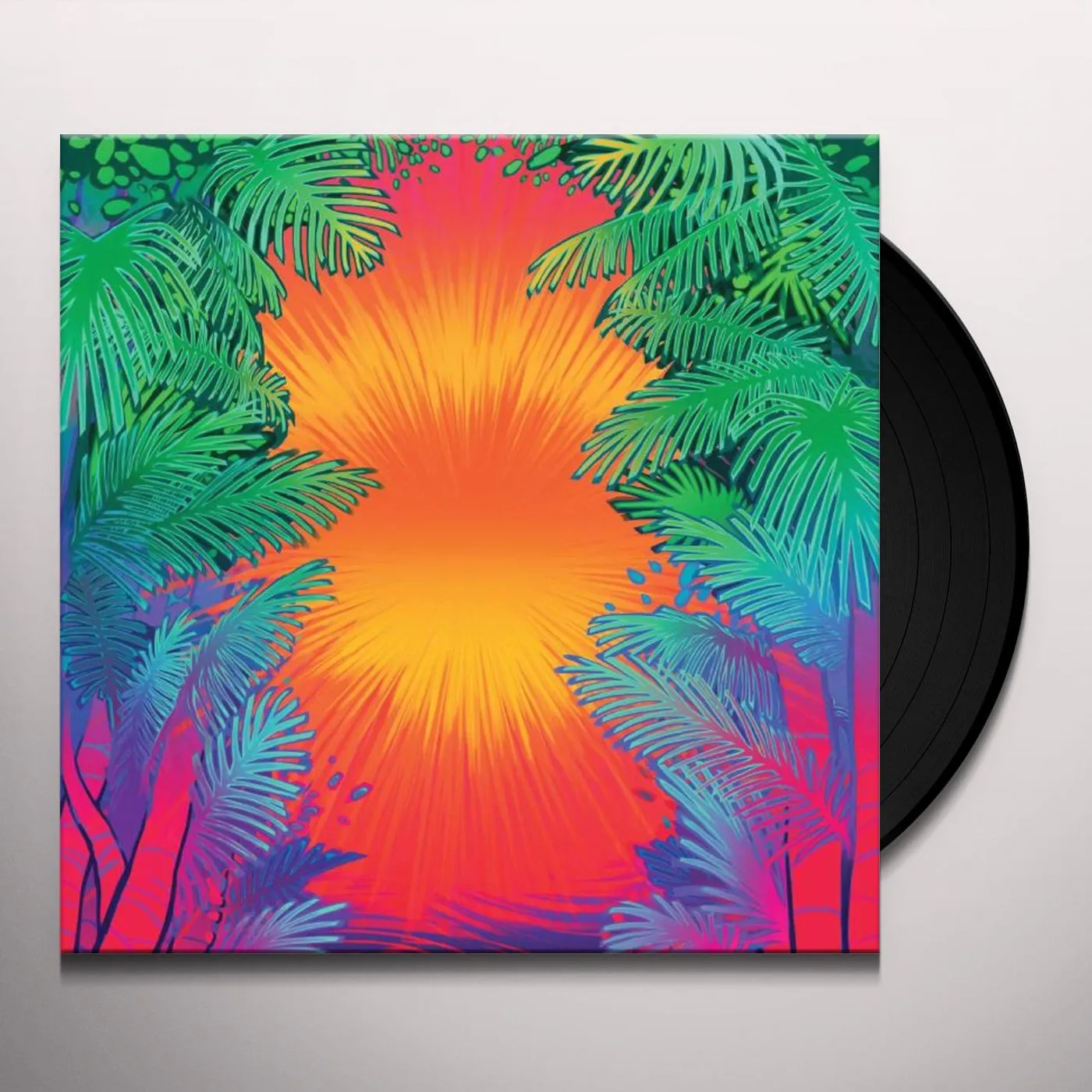 Flamingo Pier Vinyl Record