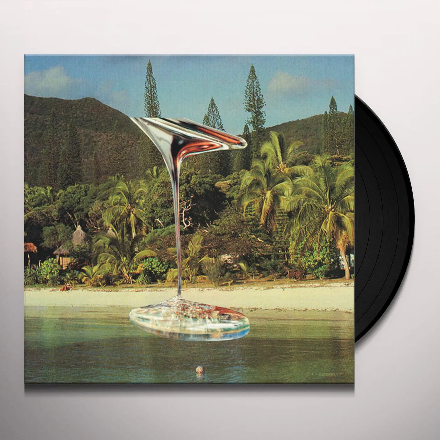 Weval Weight Vinyl Record