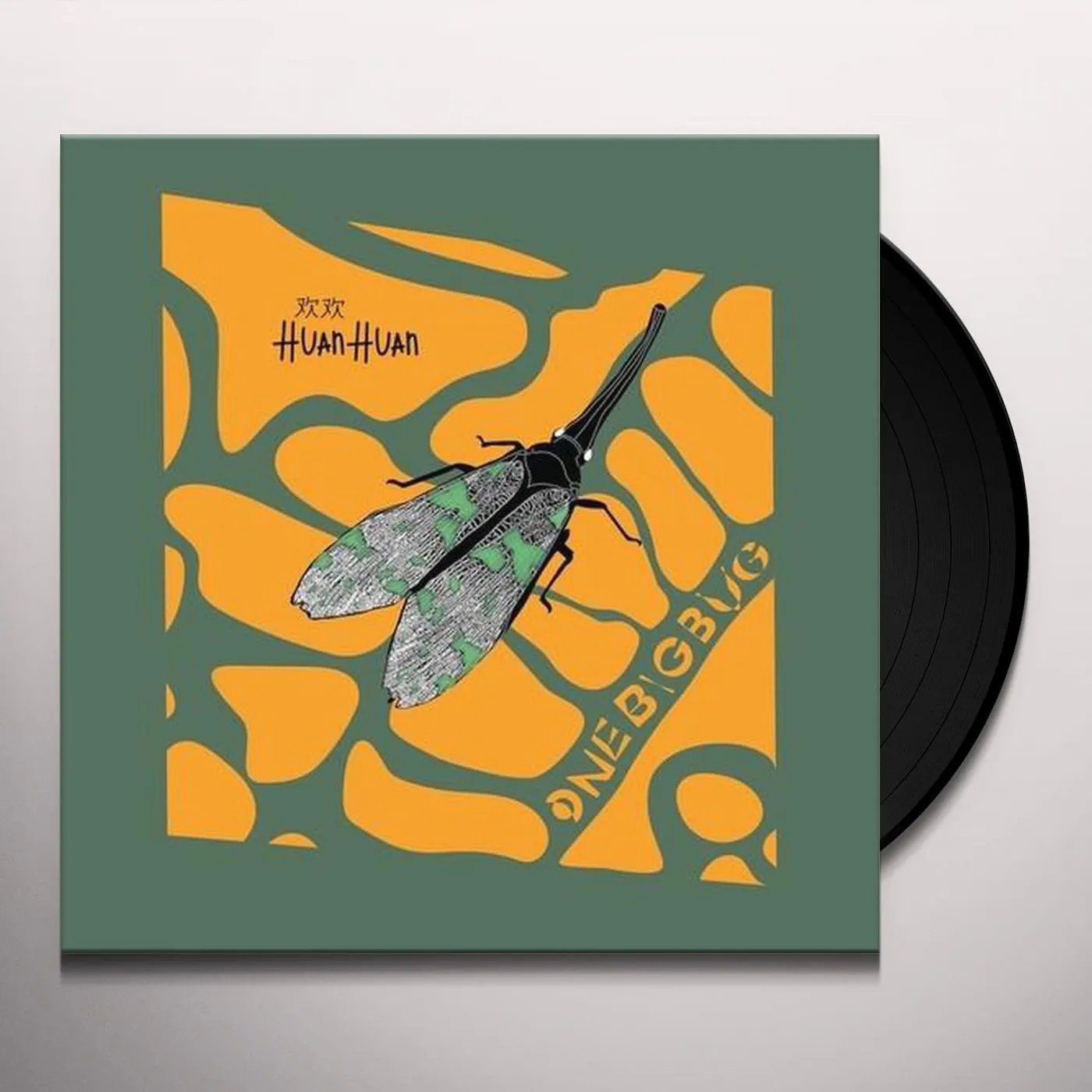 Huan Huan One Big Bug Vinyl Record