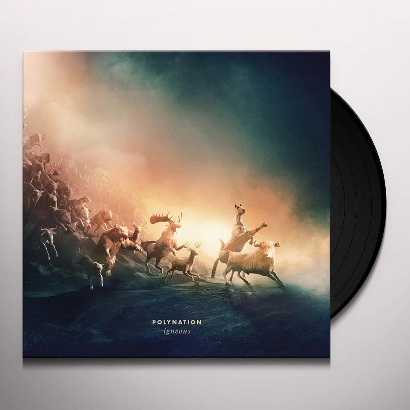 Polynation Igneous Vinyl Record