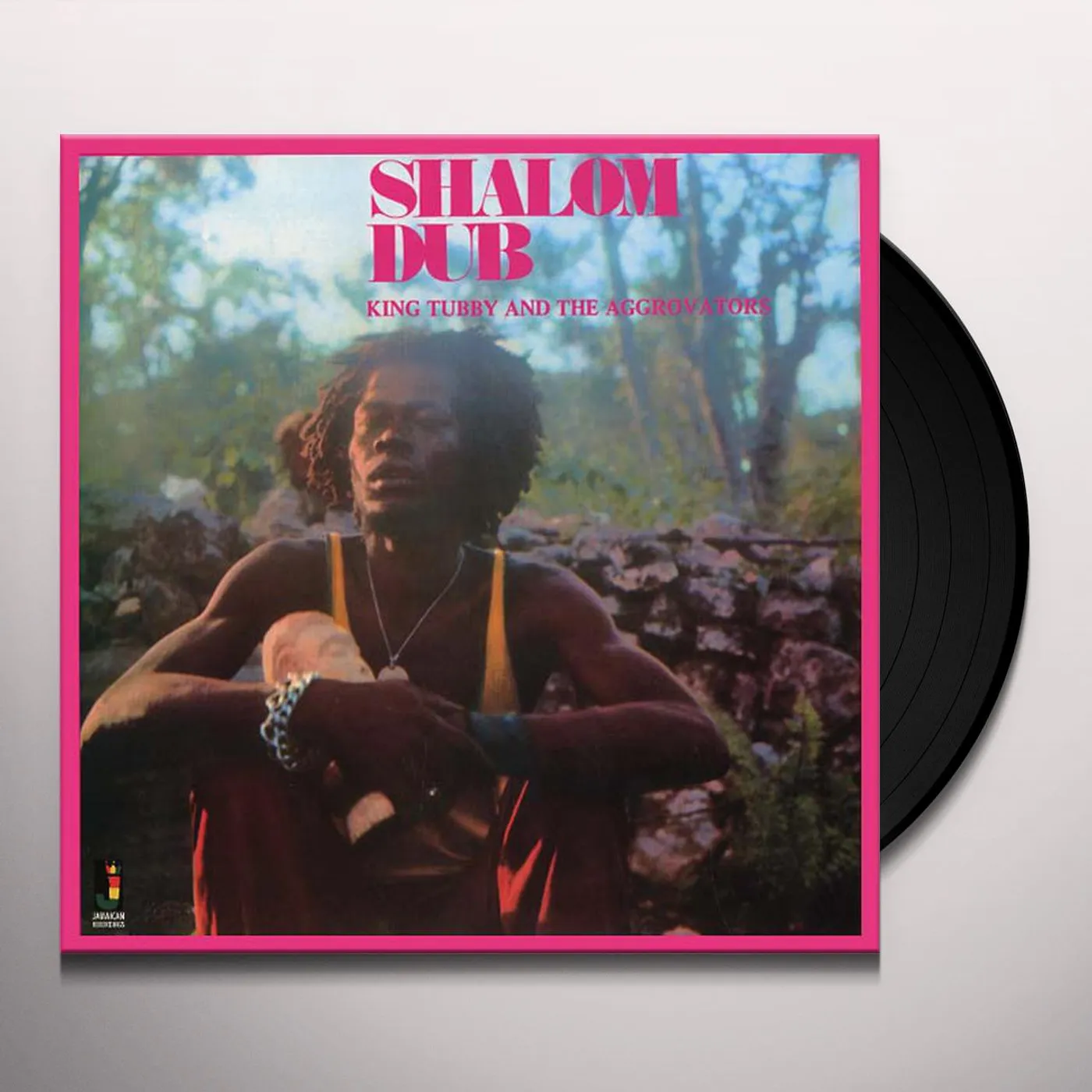 King Tubby and the Aggrovators Shalom Dub Vinyl Record