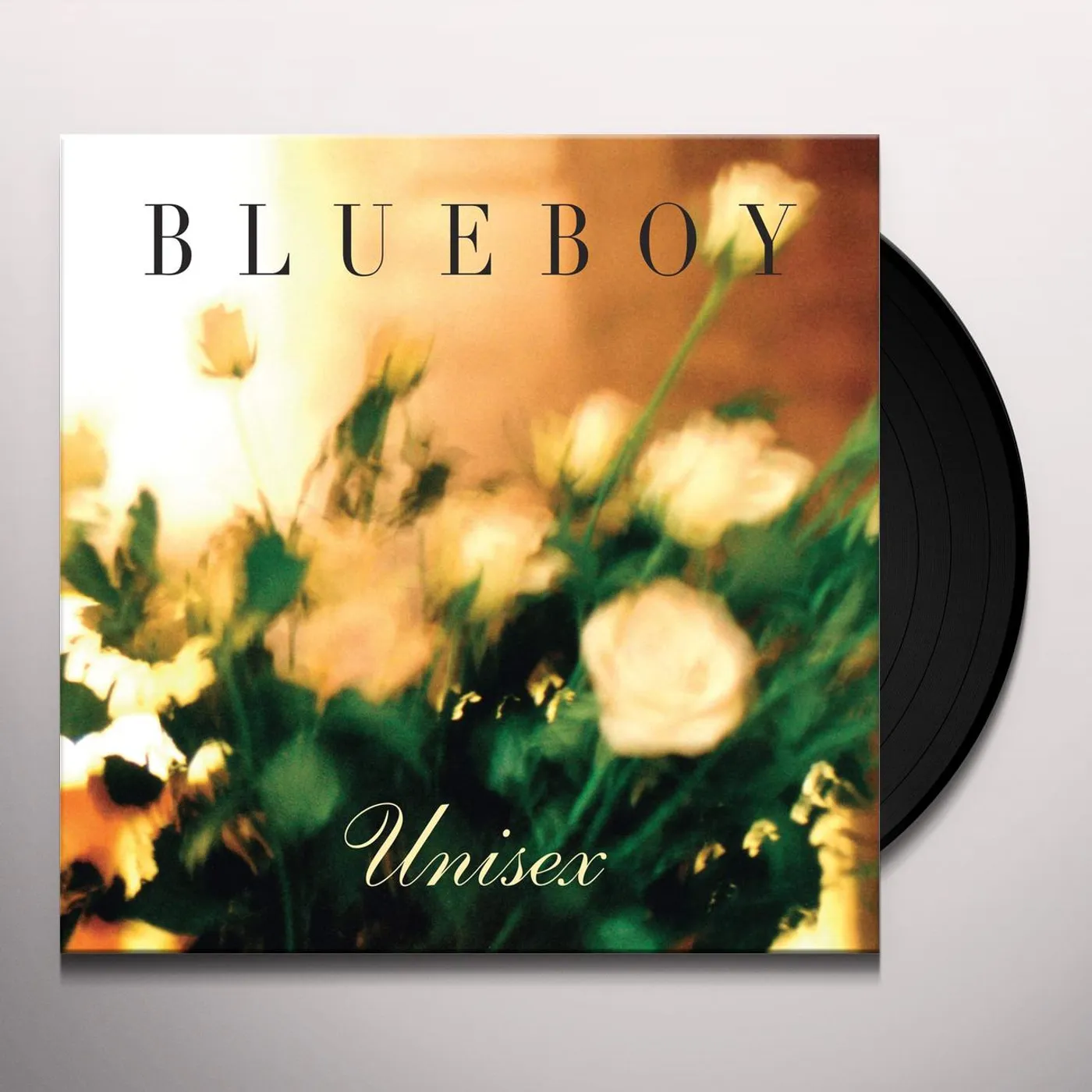 Blueboy Unisex Vinyl Record