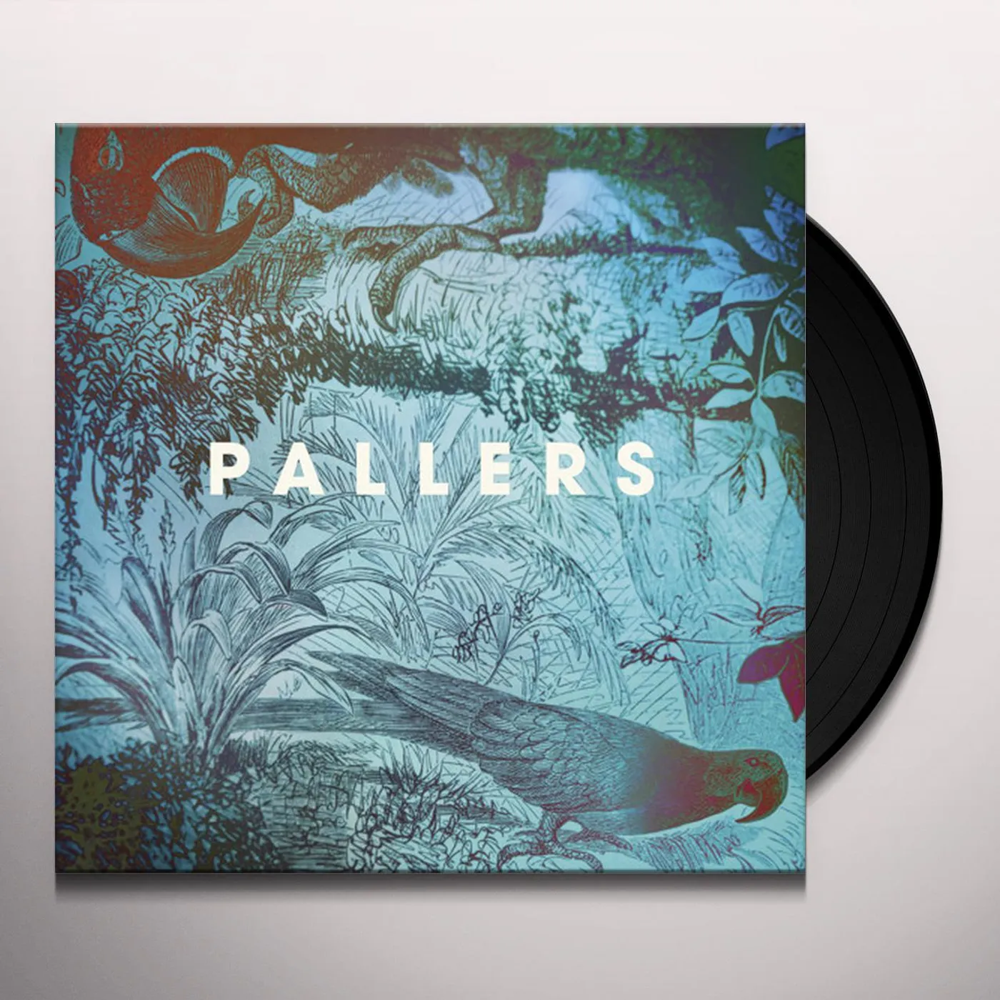 Pallers Sea Of Memories  The Vinyl Record
