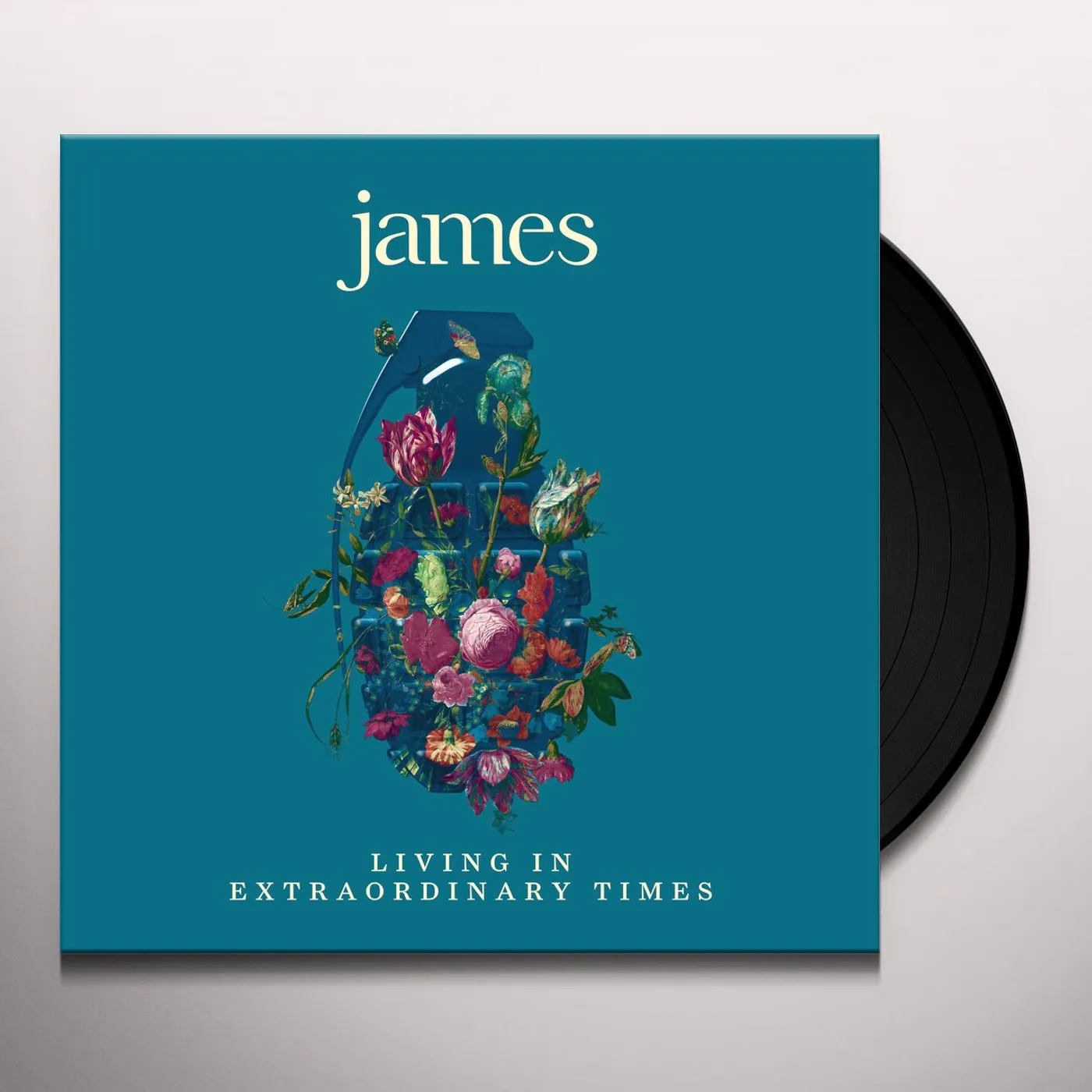 James Living in Extraordinary Times Vinyl Record
