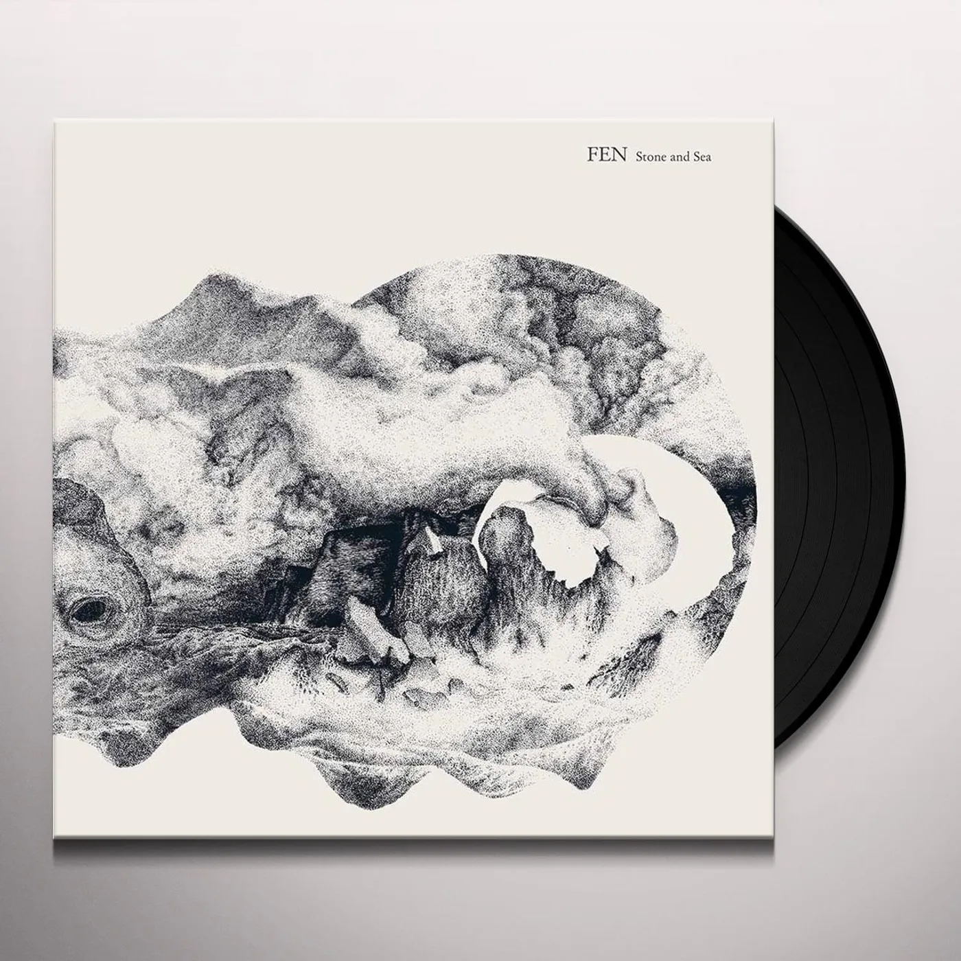 Fen Stone and Sea Vinyl Record