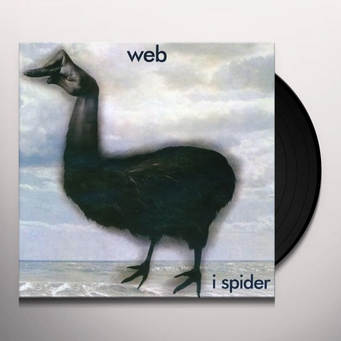 Web I Spider Vinyl Record
