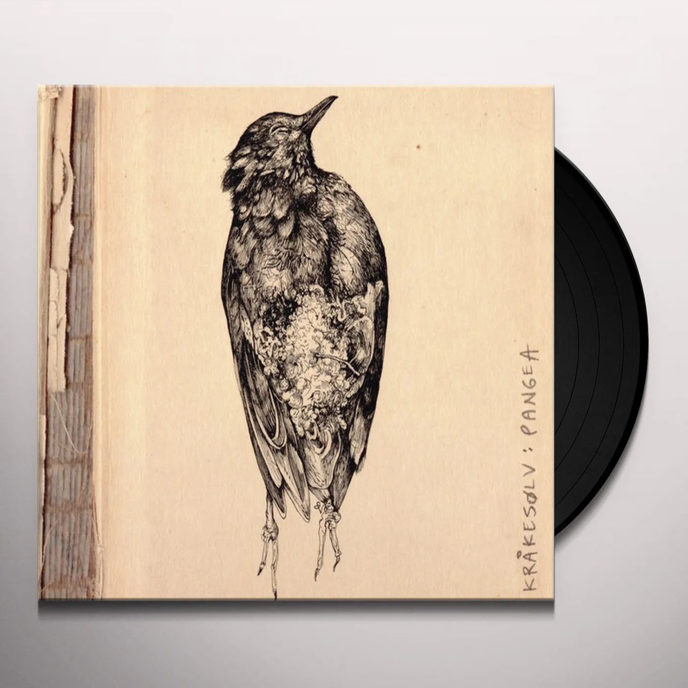 Krakesolv Pangea Vinyl Record