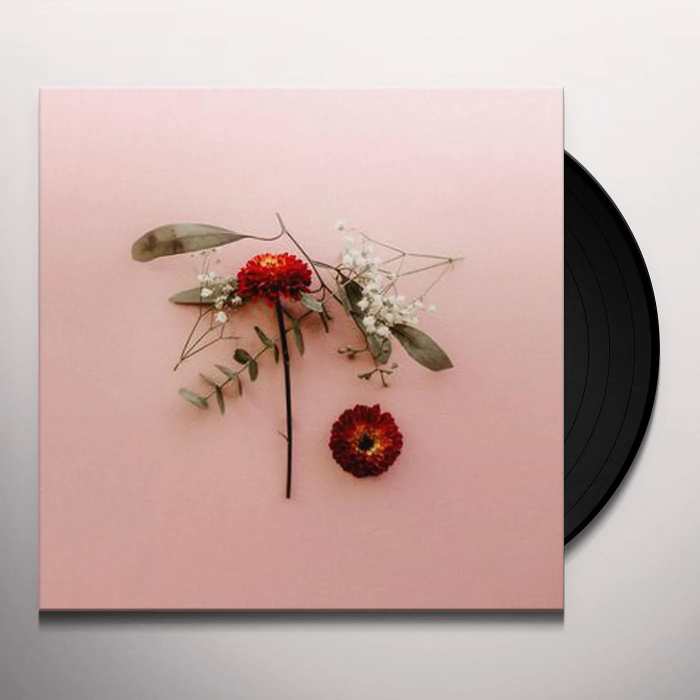 Sunsleeper You Can Miss Something & Not Want It Back Vinyl Record