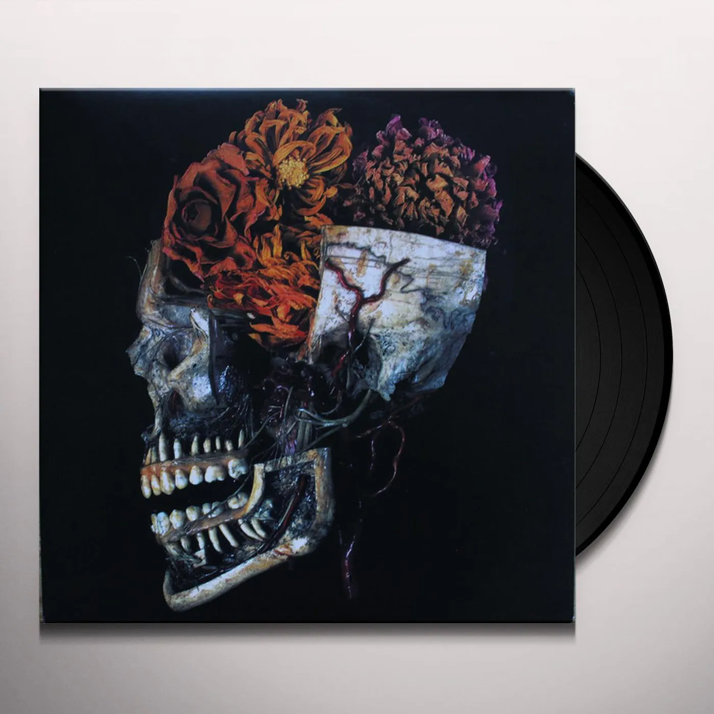 Kingdom Hemeltraan Vinyl Record