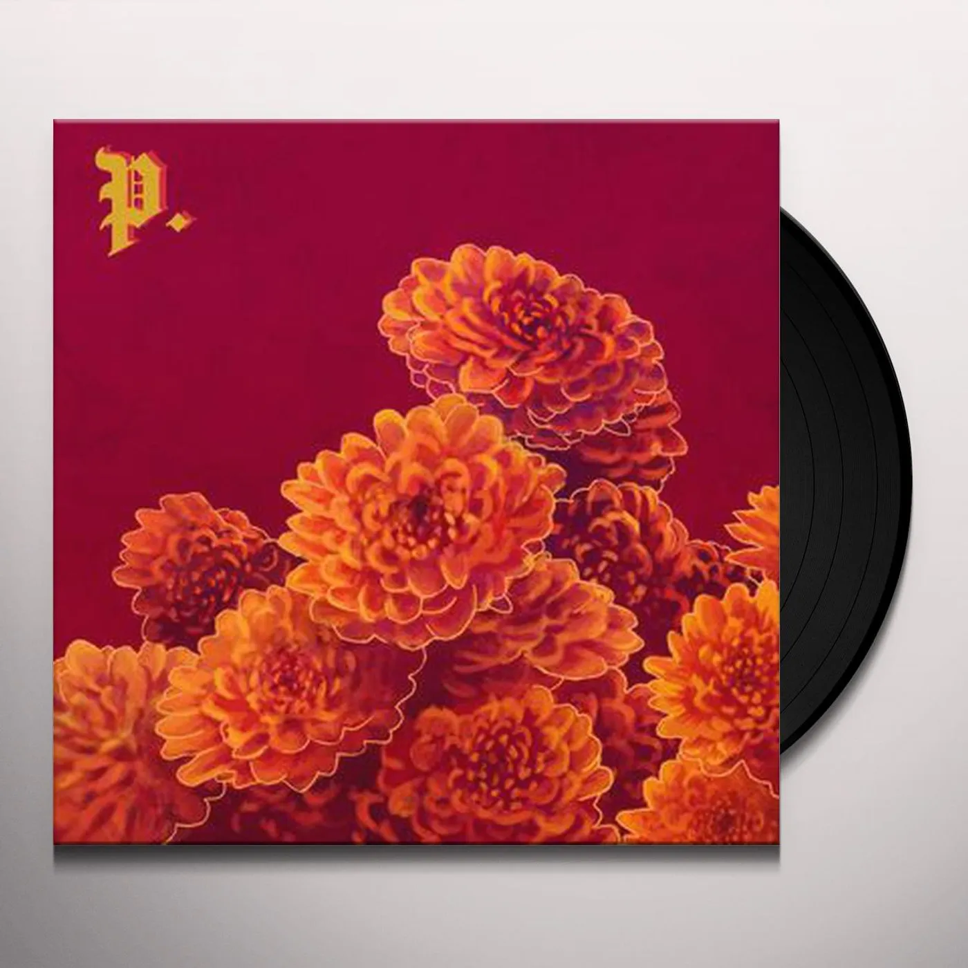 Proper I spent the winter writing songs about g Vinyl Record