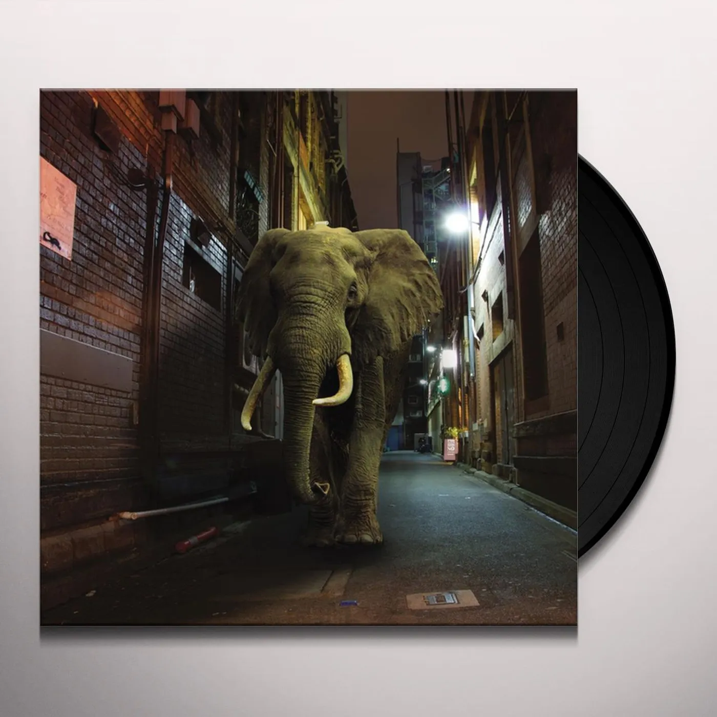 Misty Conditions D'zzzz Vinyl Record