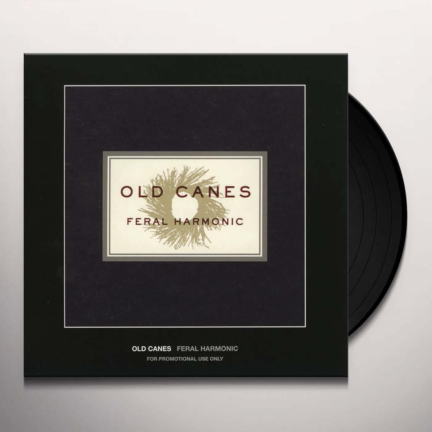 Old Canes Feral Harmonic Vinyl Record