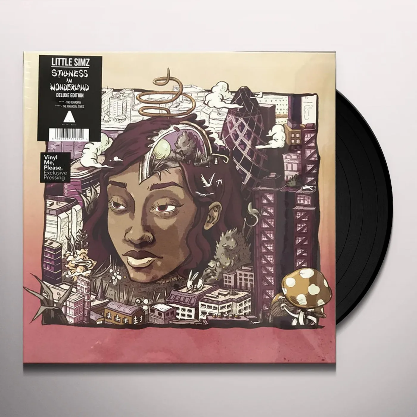 Little Simz Stillness In Wonderland (Deluxe Edition) Vinyl Record
