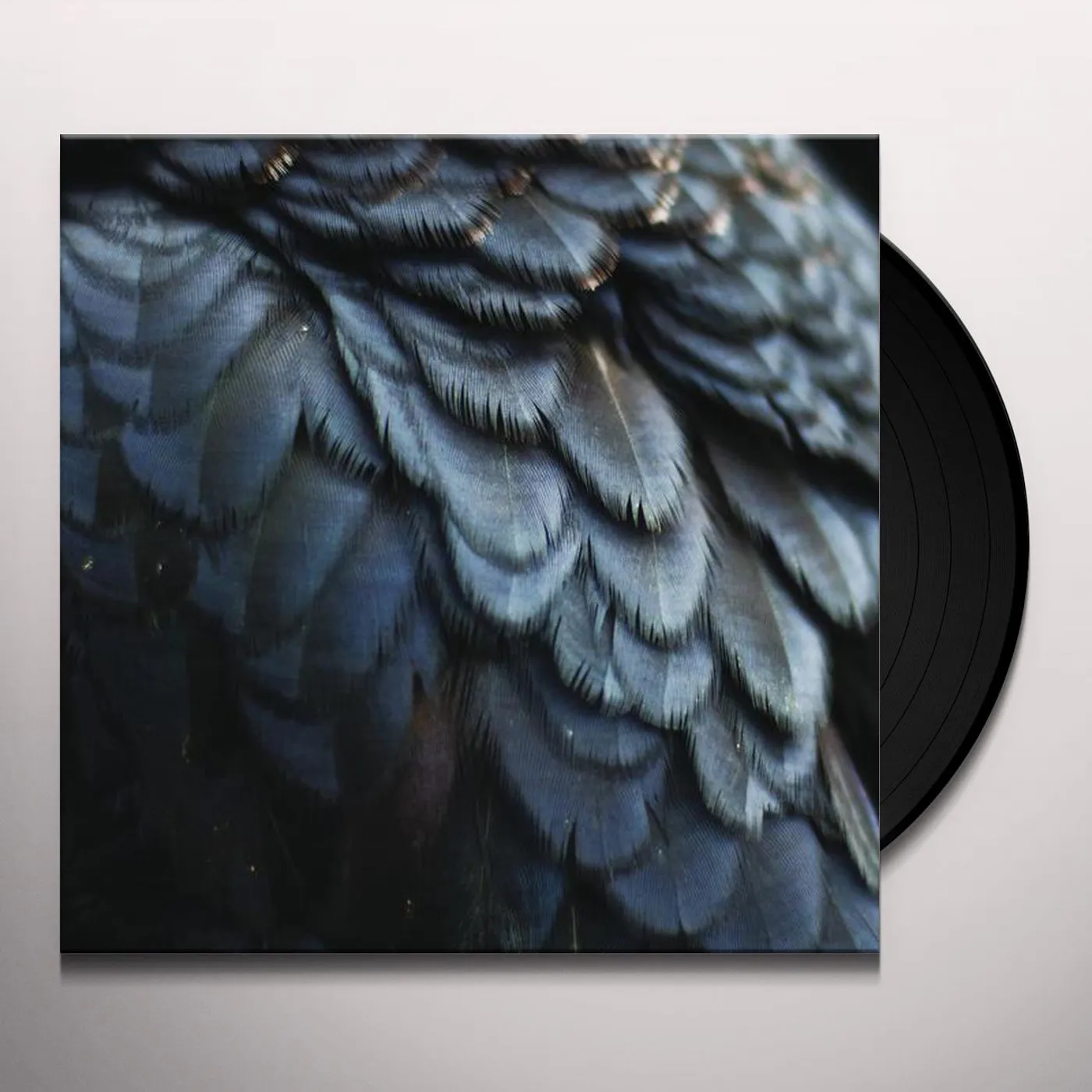 Ex People Bird Vinyl Record
