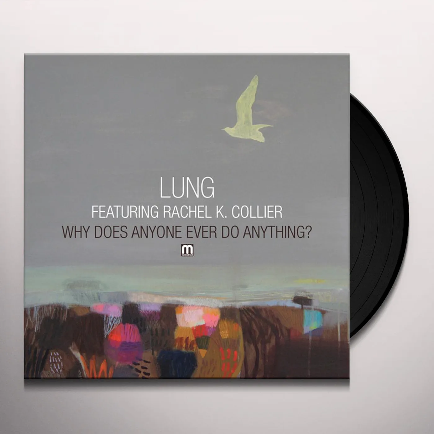 LUNG Why Does Anyone Ever Do Anything Vinyl Record