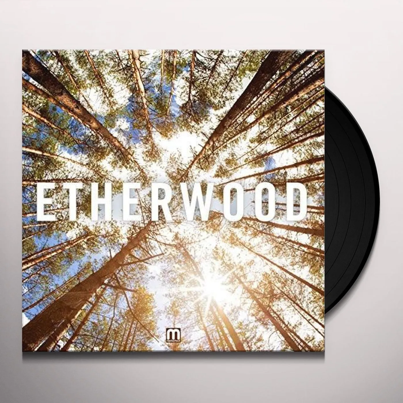 Etherwood Vinyl Record