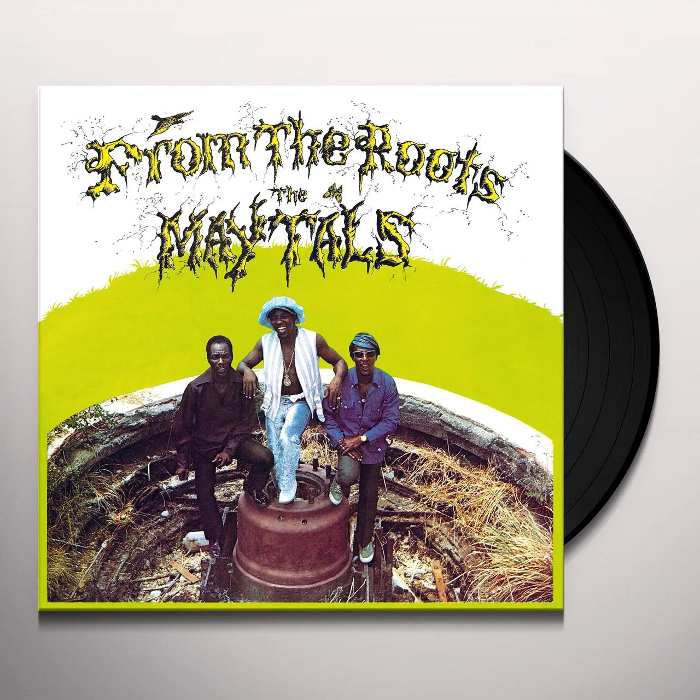 The Maytals From The Roots Vinyl Record