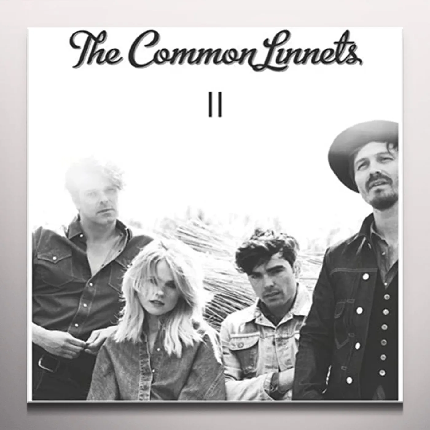 The Common Linnets II Vinyl Record