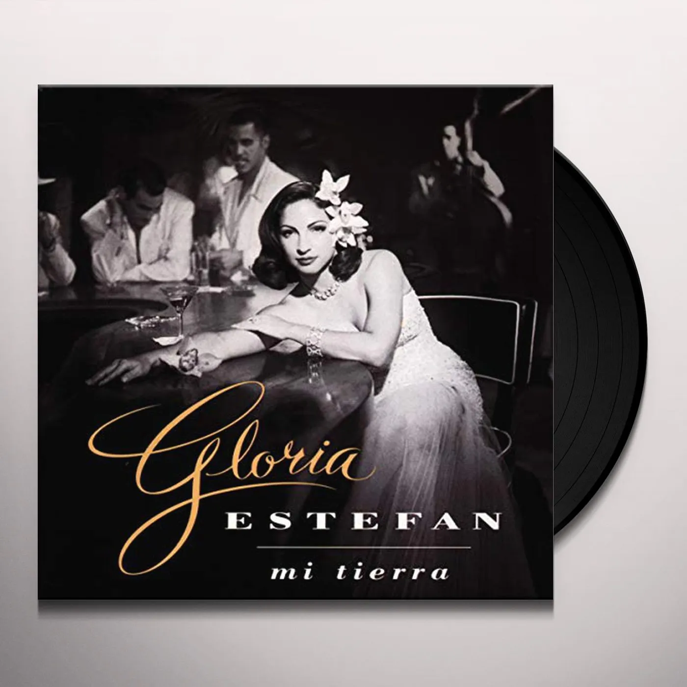 Gloria Estefan Mi Tierra Vinyl Record