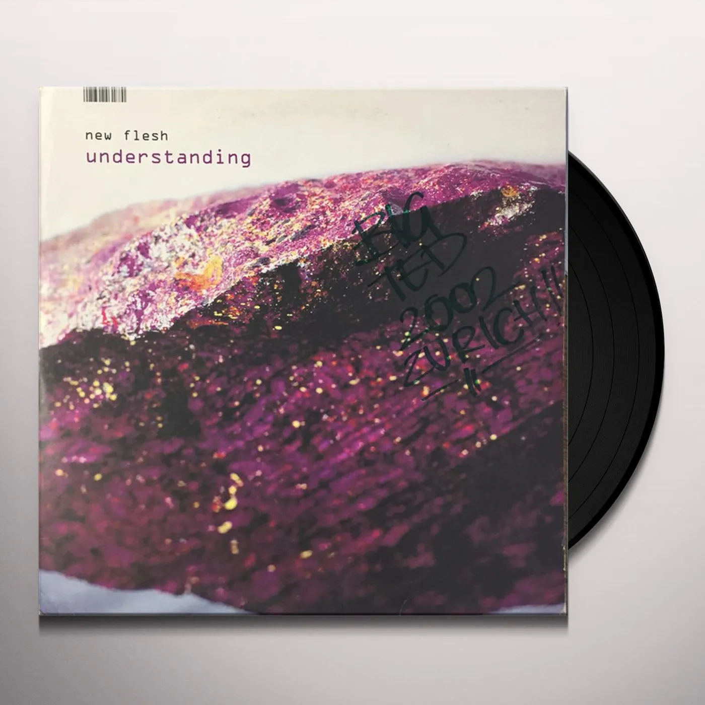 New Flesh UNDERSTANDING Vinyl Record