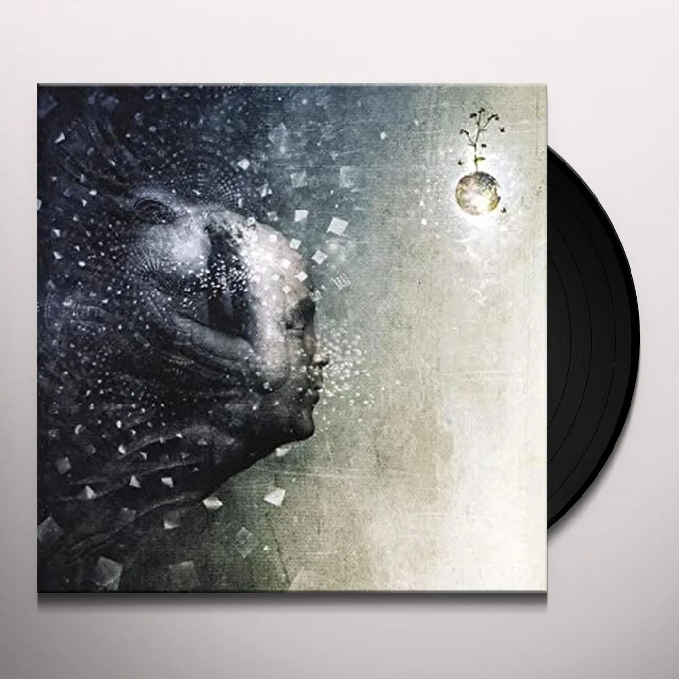 Dead Letter Circus THIS IS THE WARNING (WHITE VINYL) Vinyl Record