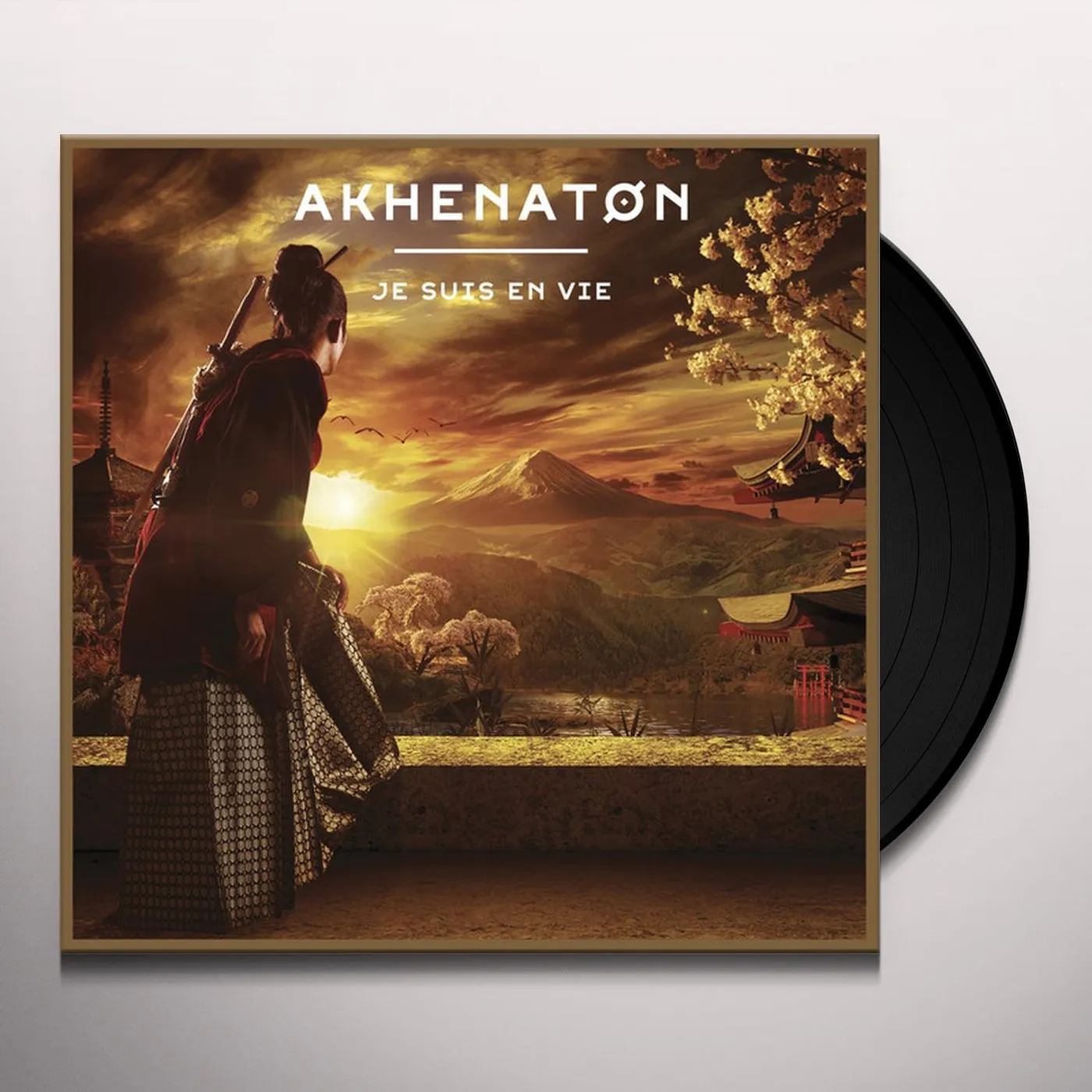Akhenaton JE SUIS EN VIE (FRA) (Vinyl)