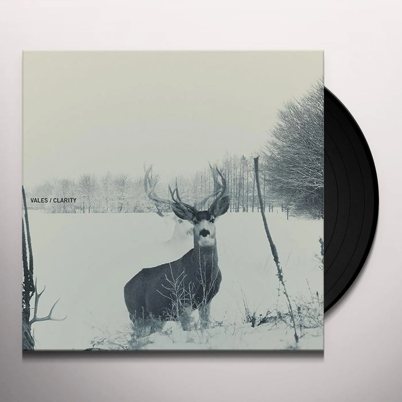 The Veils CLARITY Vinyl Record - UK Release