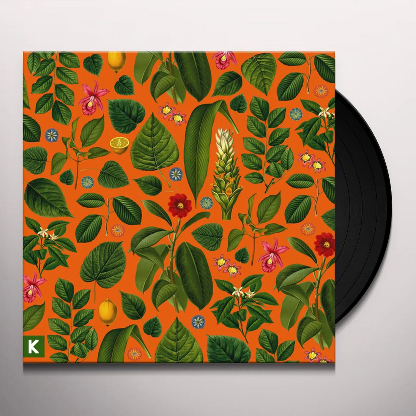 Kings Kaleidoscope Becoming Who We Are Vinyl Record