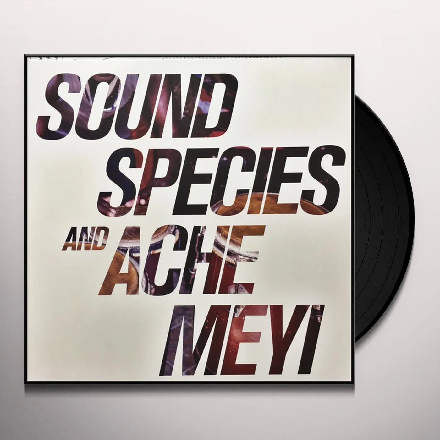 SOUNDSPECIES & ACHE MEYI Vinyl Record