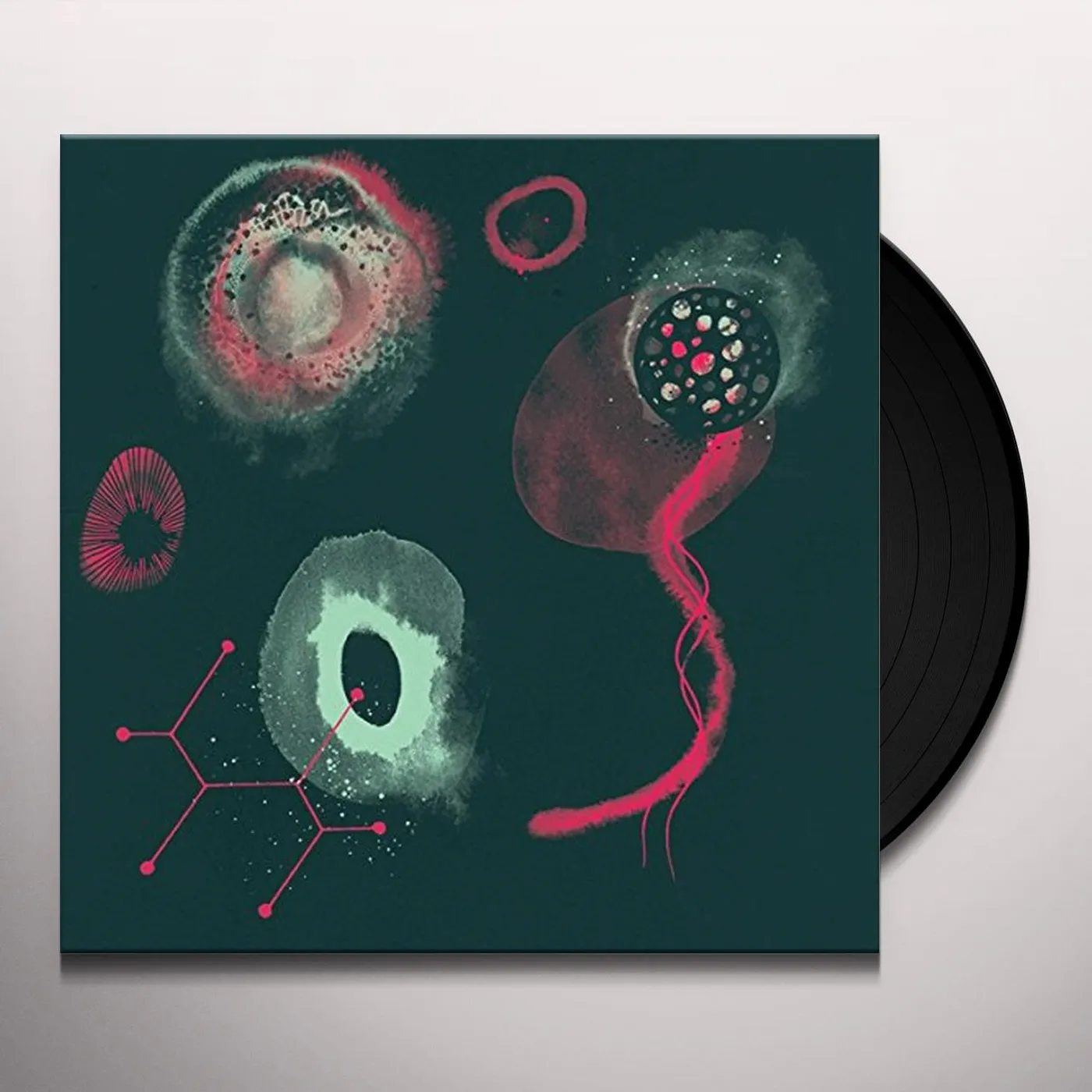 Polypores IMPOSSIBILITY Vinyl Record