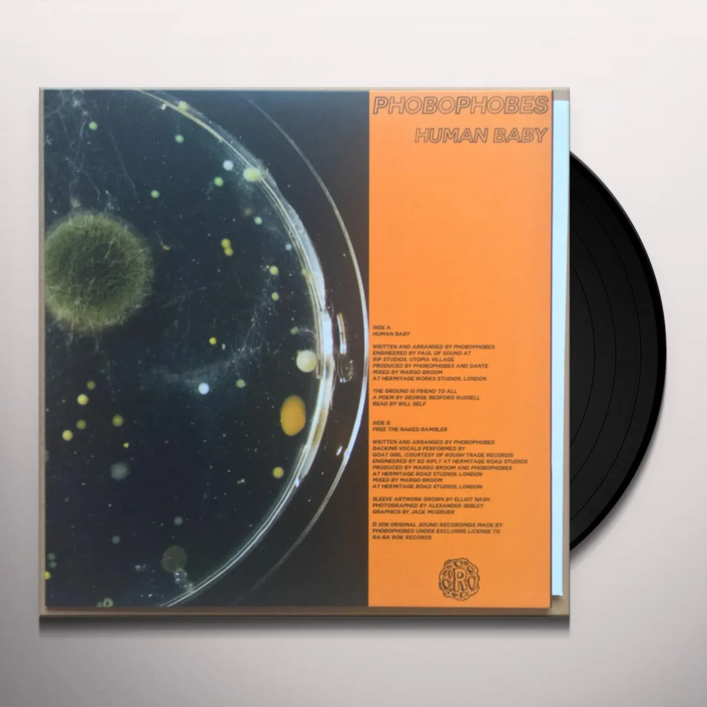 Phobophobes HUMAN BABY Vinyl Record