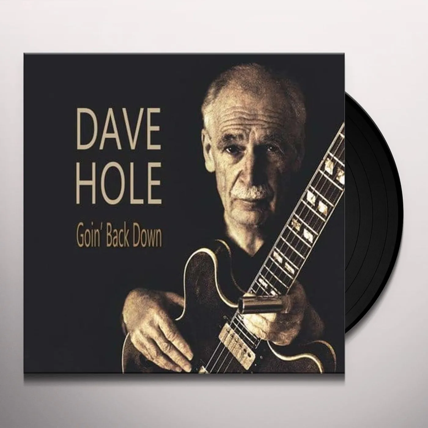 Dave Hole GOIN BACK DOWN Vinyl Record