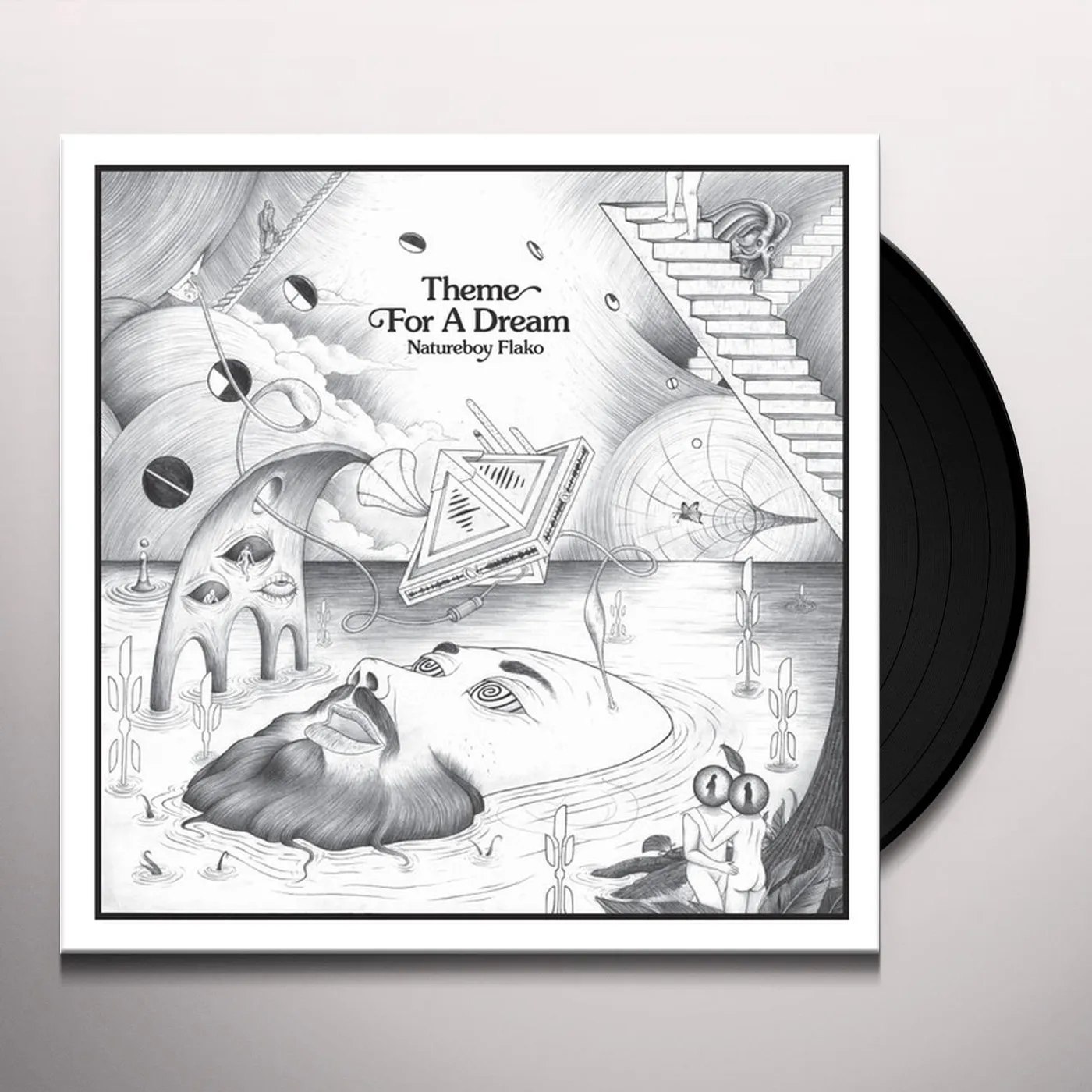 Natureboy Flako THEME FOR A DREAM Vinyl Record
