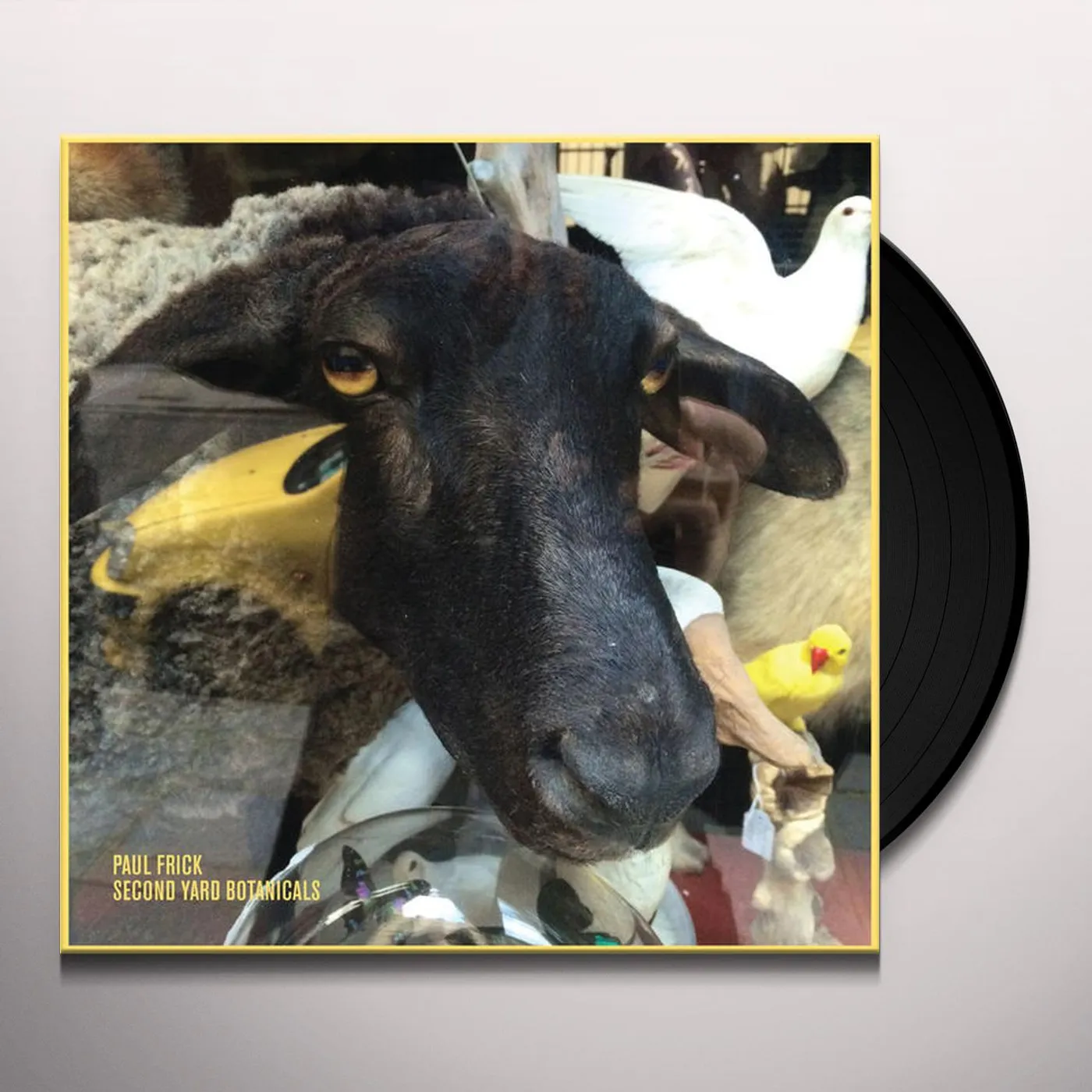 Paul Frick SECOND YARD BOTANICALS Vinyl Record