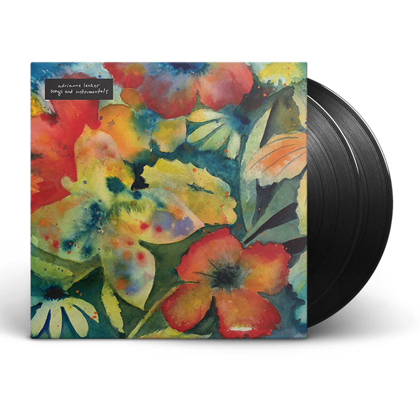 Adrianne Lenker songs and instrumentals 2x12" vinyl (black)