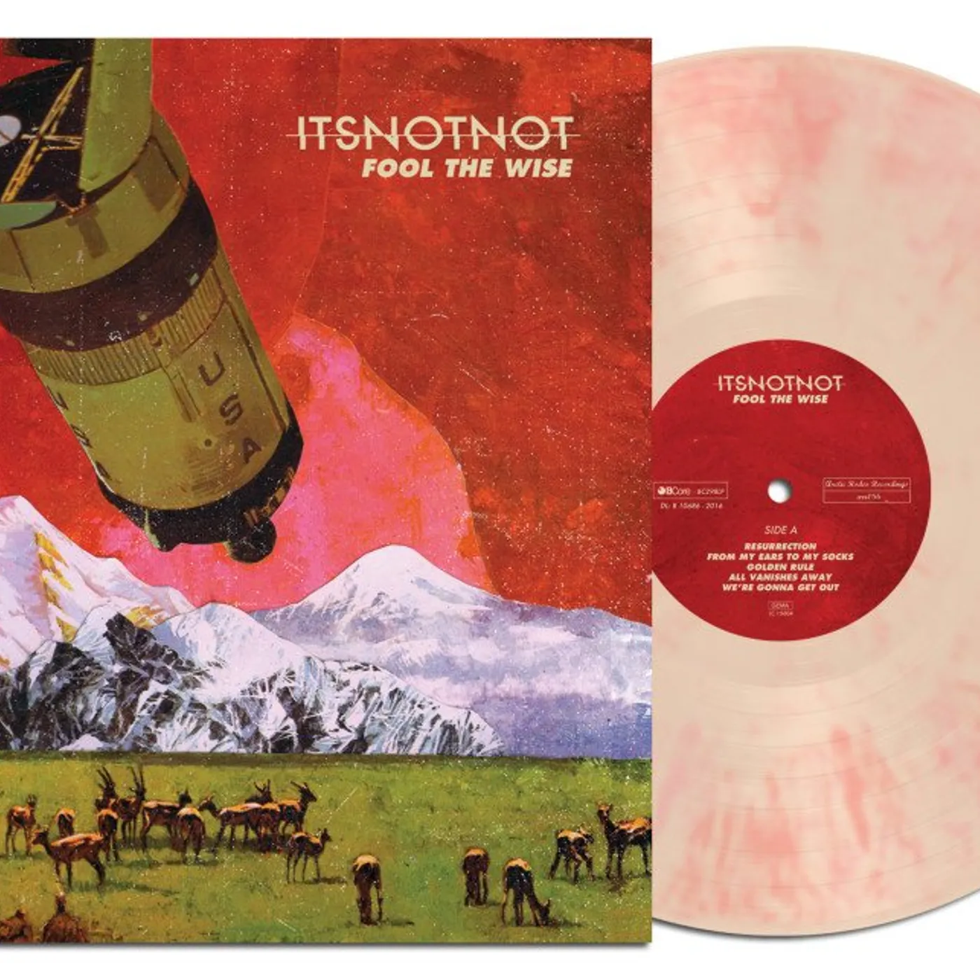 It's Not Not - Fool The Wise lp (Vinyl)