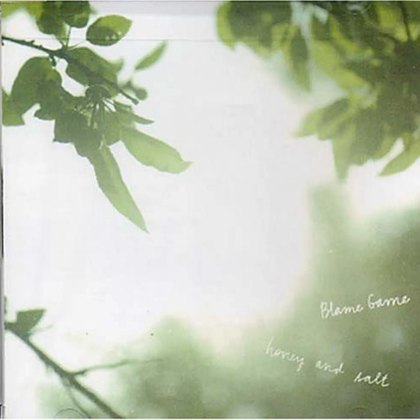 Blame Game ‎– Honey And Salt cd