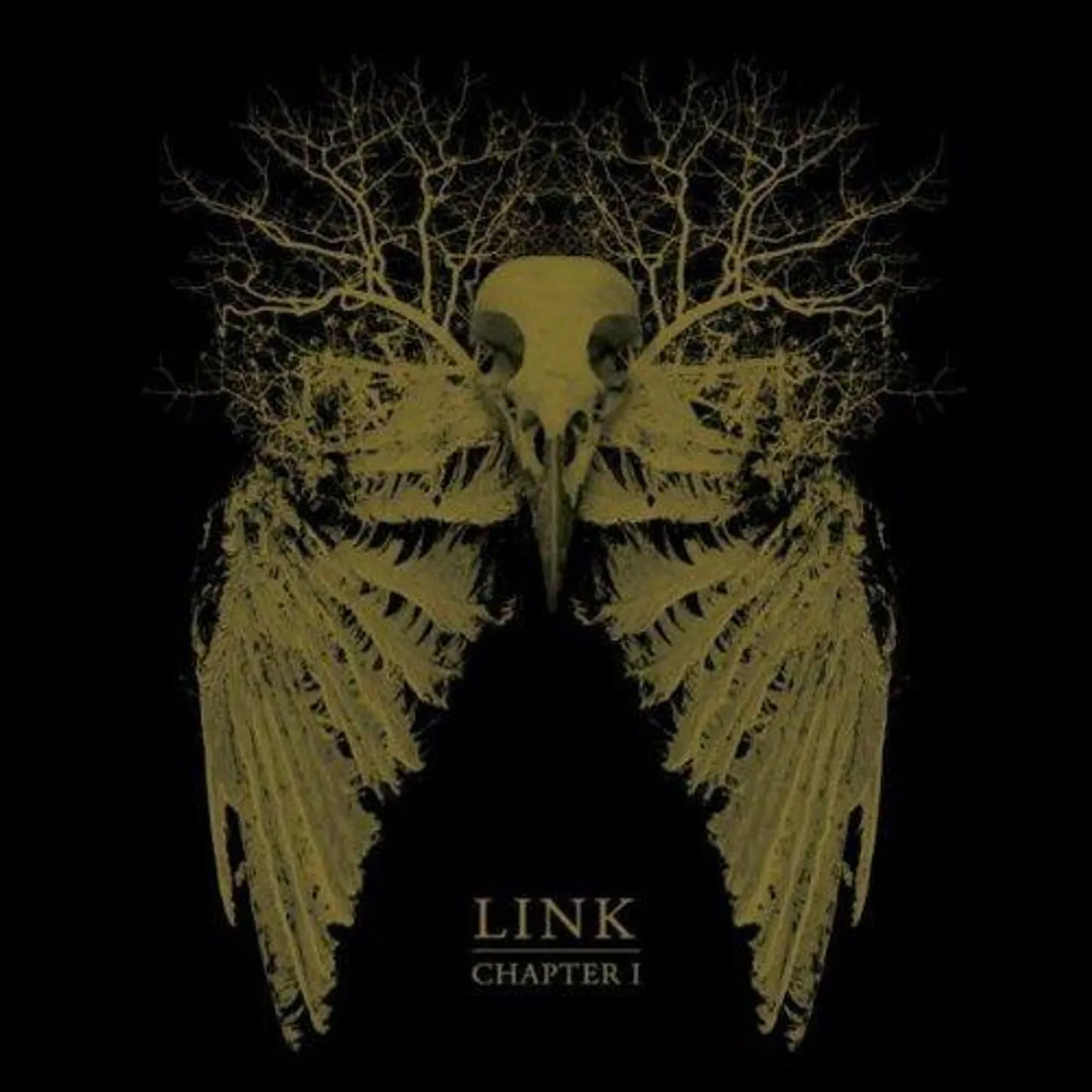 Link ‎– Chapter 1 CD