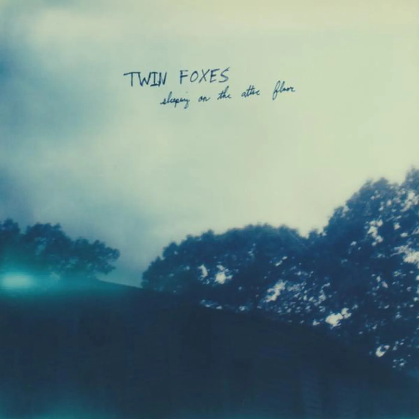Twin Foxes ‎– Sleeping On The Attic Floor lp (Vinyl)