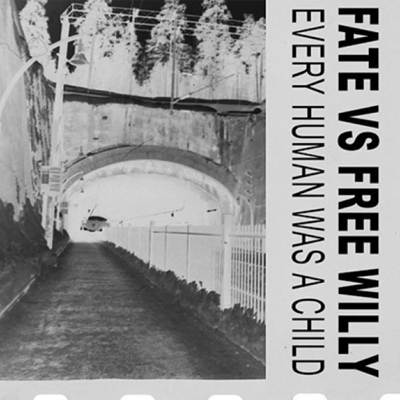 Fate Vs Free Willy ‎– Every Human Was A Child 7"