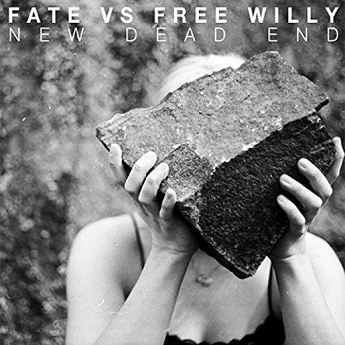 Fate Vs Free Willy ‎– New Dead End lp (Vinyl)