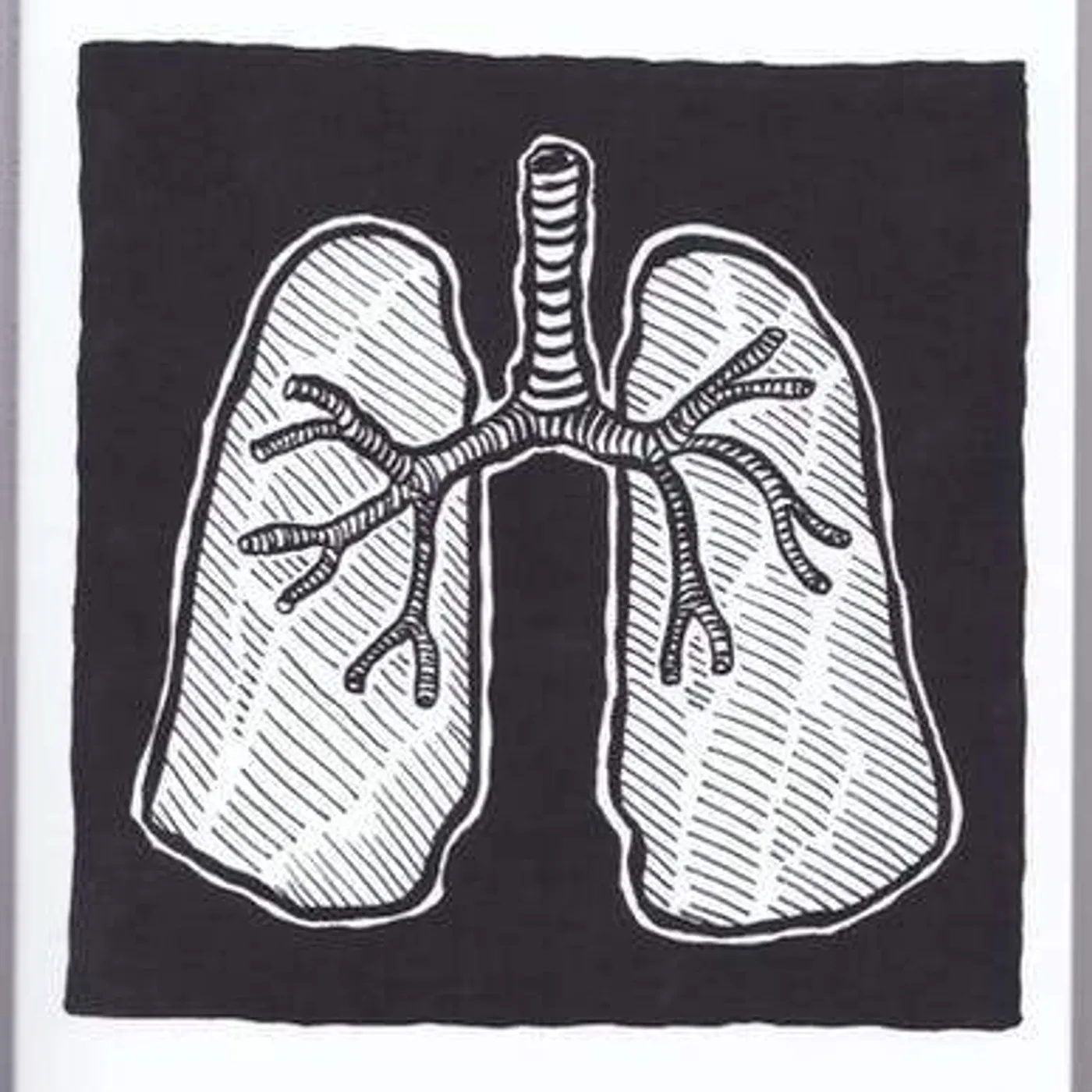 Car Vs Driver Matt Mauldin - Patterns Of Reconciliation book