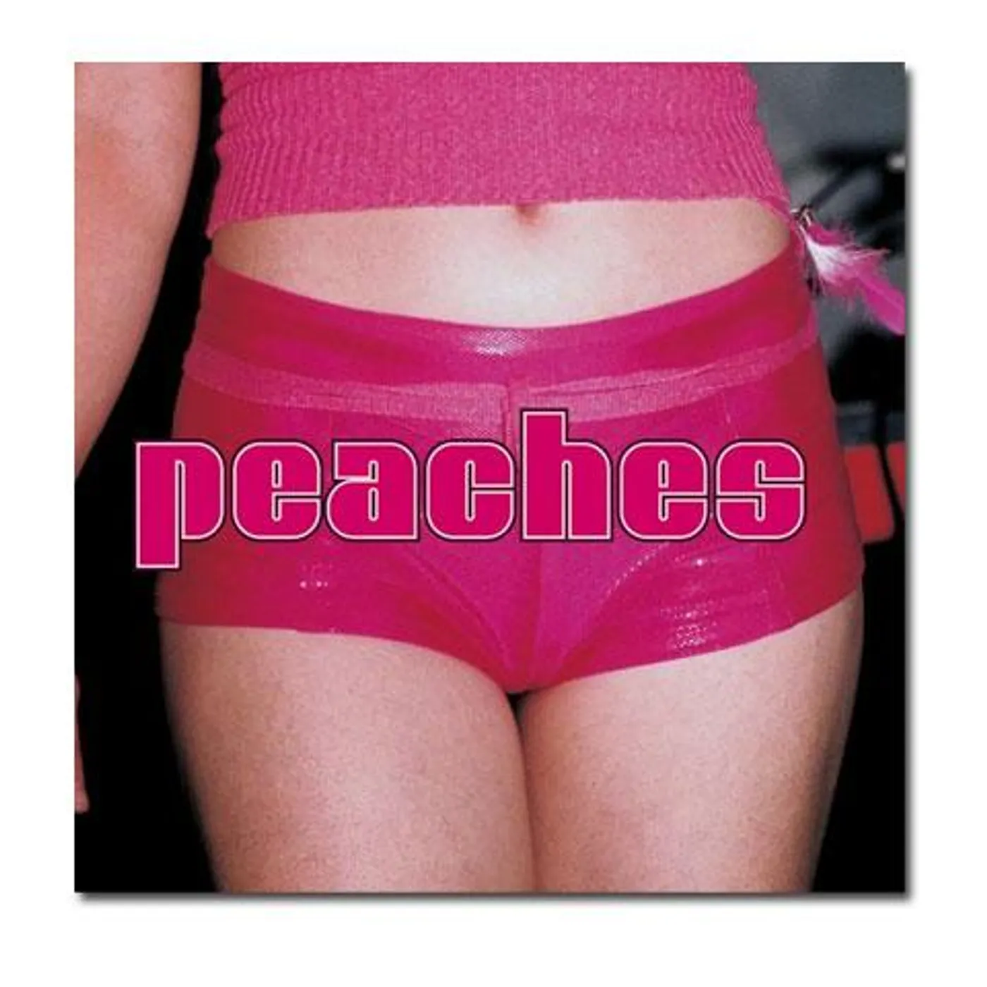 Peaches Teaches of Peaches CD (Out of Print)