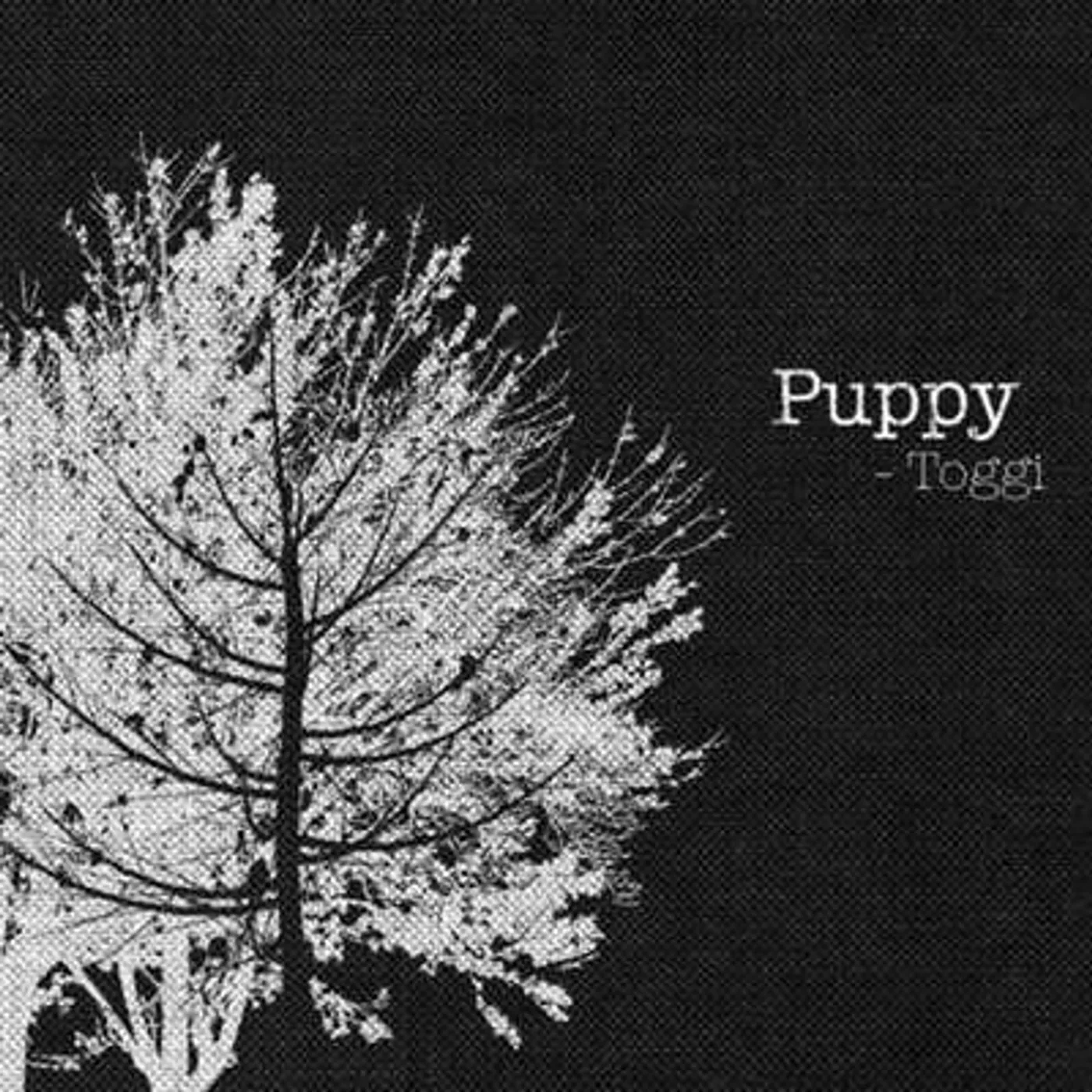 Toggi - Puppy