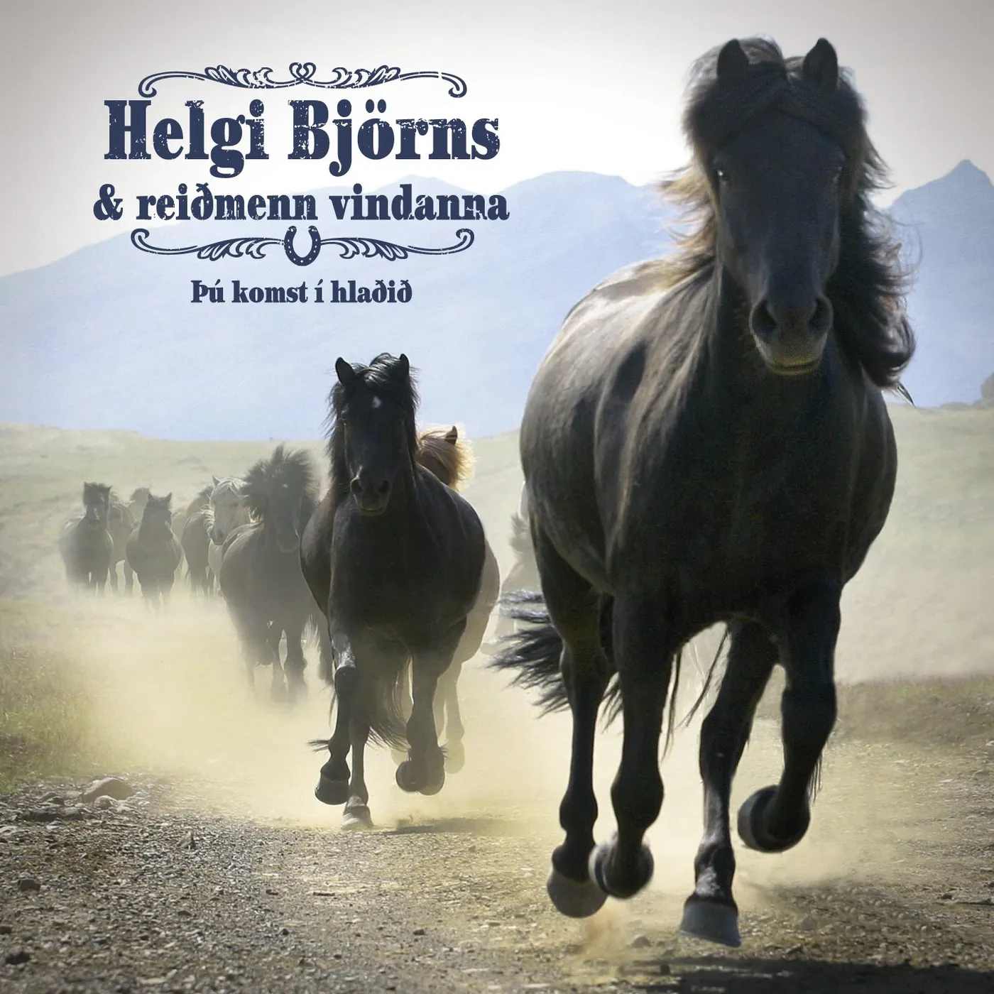 Helgi Björnsson - Þú komst í hlaðið